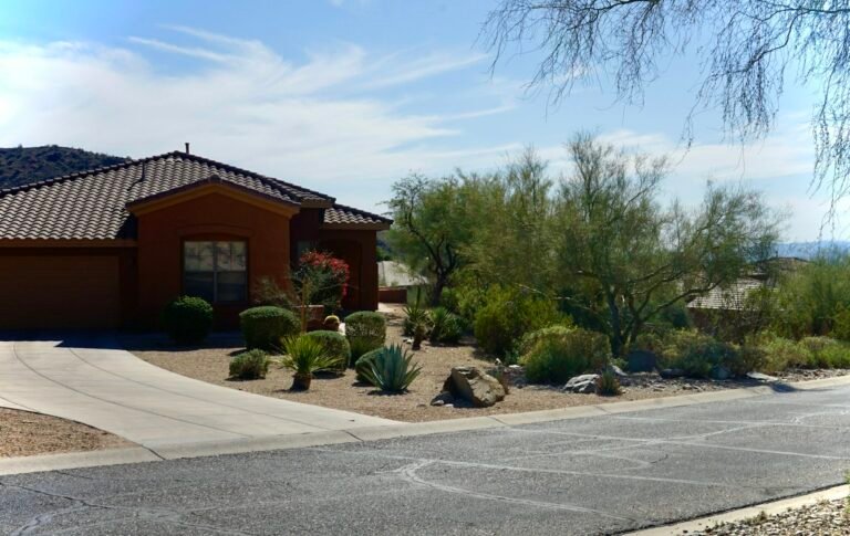 Desert-landscaped front yard with xeriscape plants