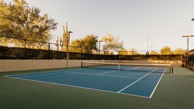 Backyard tennis court surrounded by desert plants